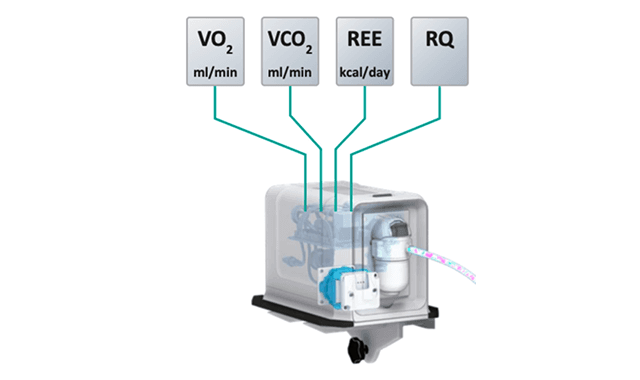 Elisa Ventilator l ZISLIN metabolic module. เครื่องมือในการคำนวณสารอาหาร